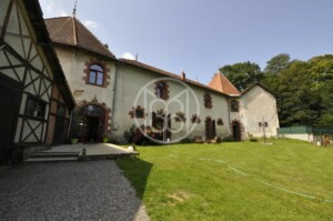 Top 5 des clichés parisiens sur les provinciaux Top 5 des clichés parisiens sur les provinciaux