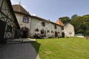 Top 5 des clichés parisiens sur les provinciaux