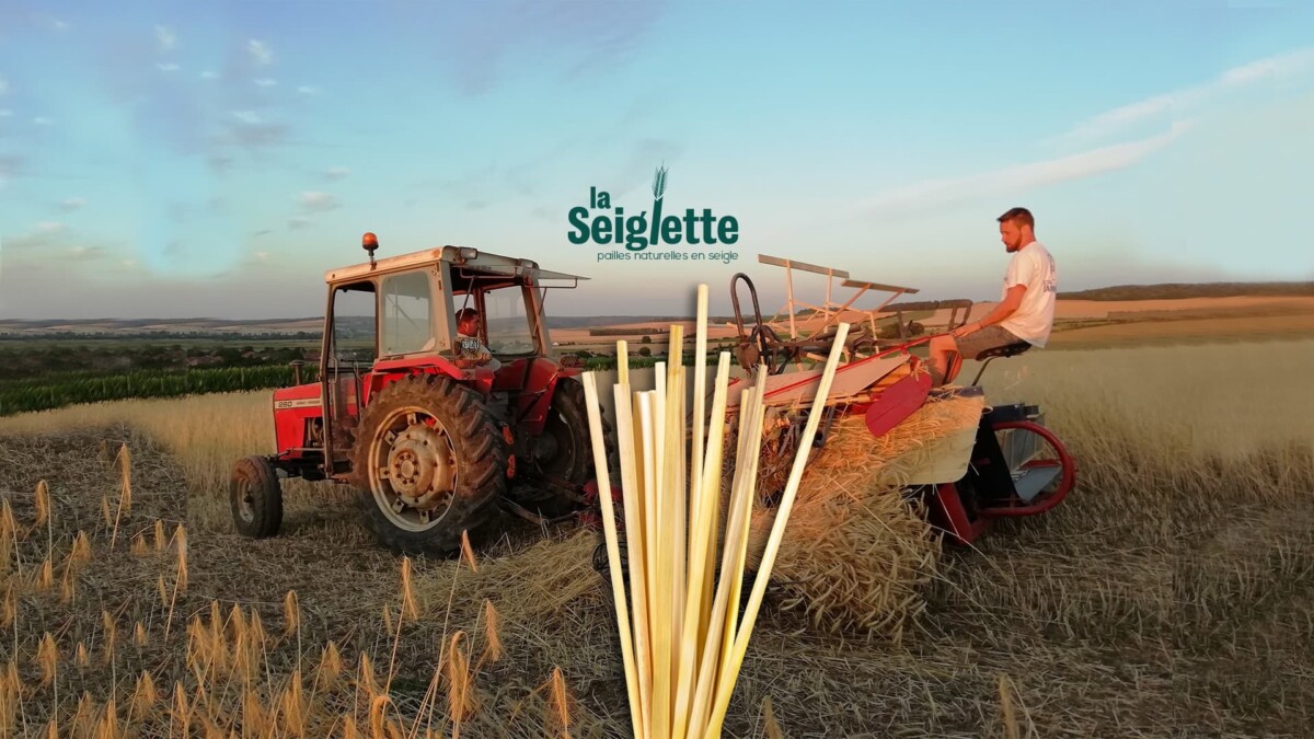 entreprendre en Meuse Seiglette