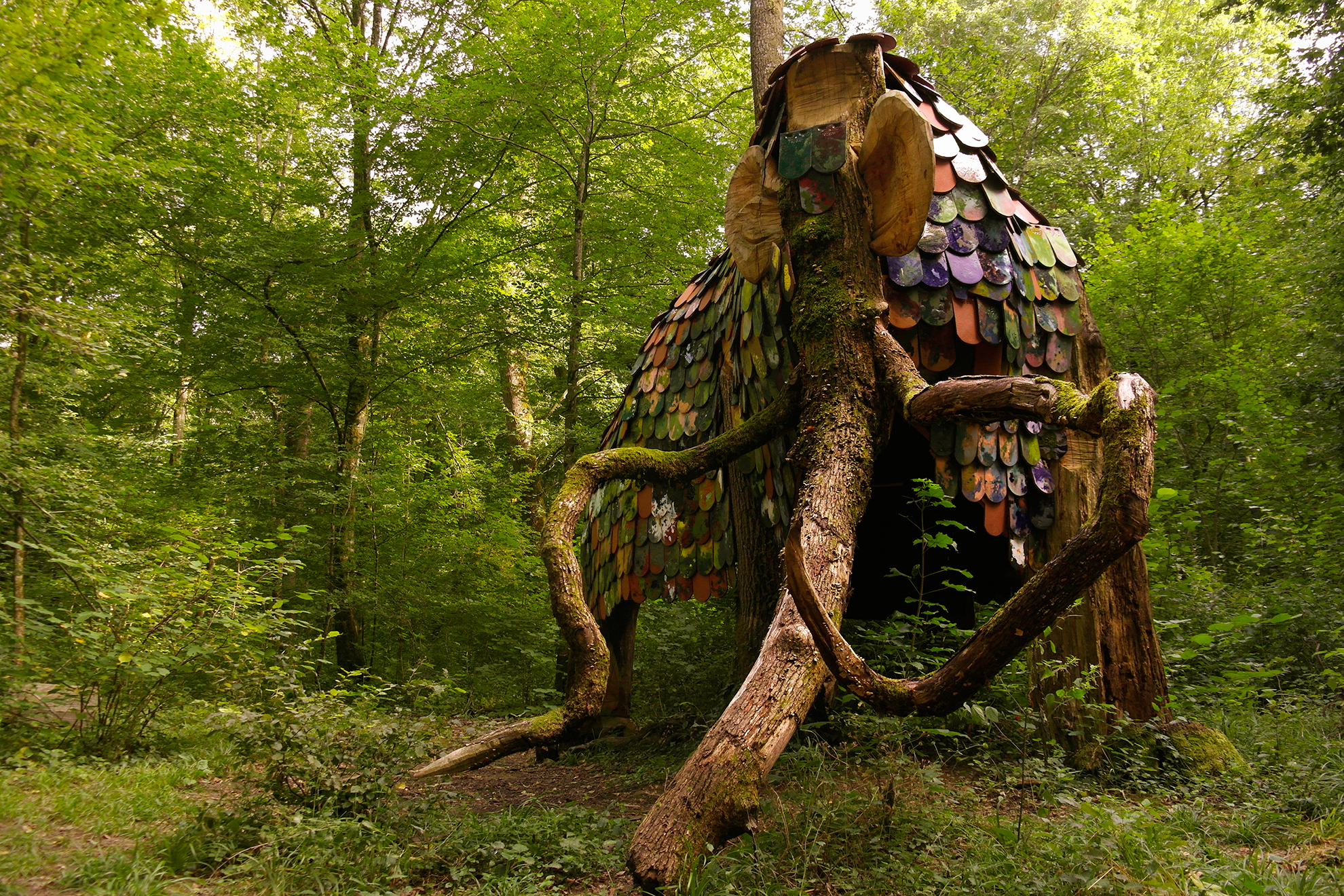 un projet de vent des forêts opportunité professionnelle en Meuse