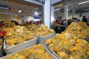 Côtes d'Armor : terre pour les pêcheurs