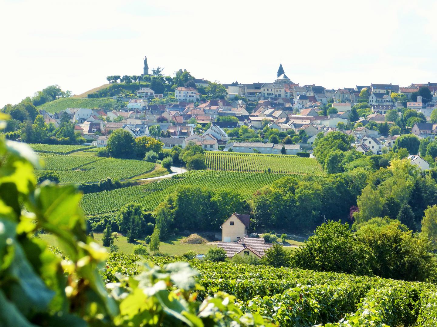 Le Parc Naturel Régional de la Montagne de Reims