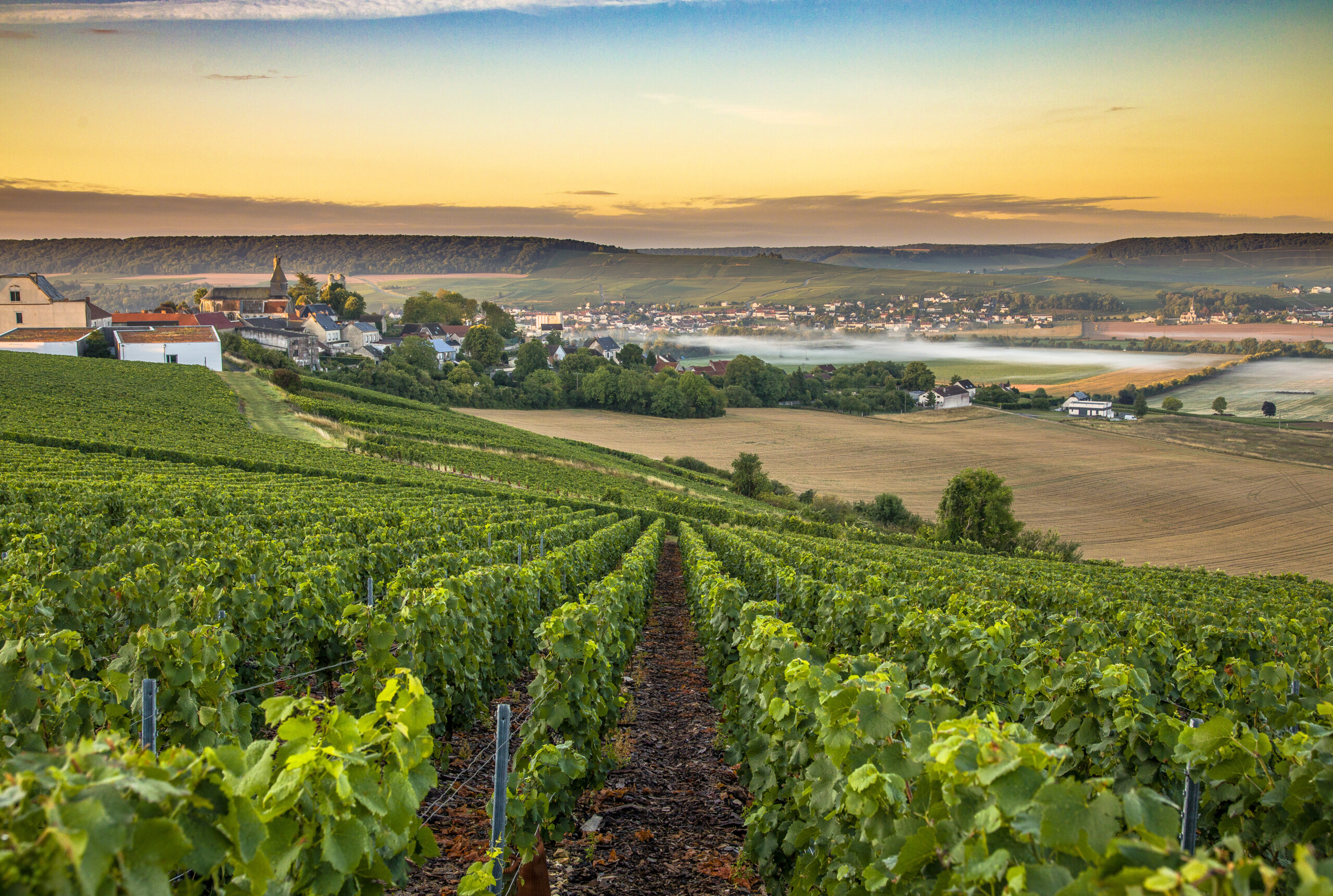 Village du Grand-Est au milieu des vignobles champenois