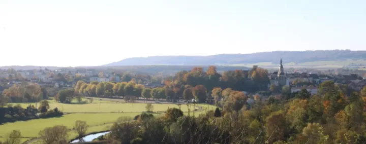 vue de Neufchâteau, dans l'ouest vosgien.